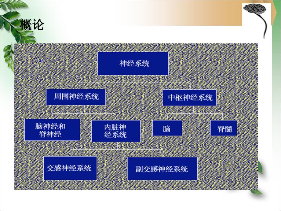 镇静催眠药护理药物学_第3页