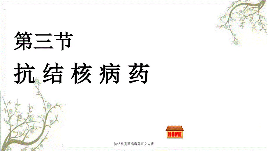 抗结核真菌病毒药正文内容课件_第1页