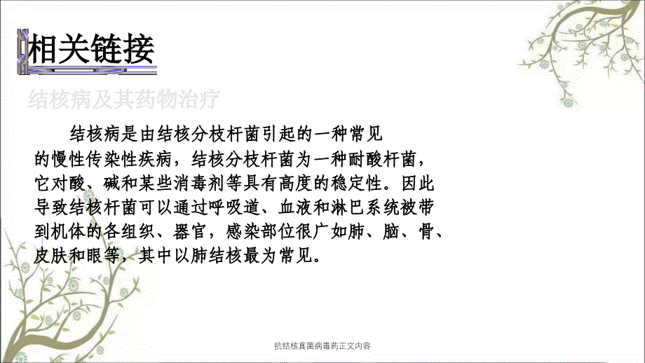 抗结核真菌病毒药正文内容课件_第3页