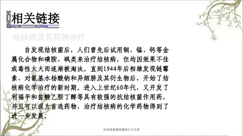 抗结核真菌病毒药正文内容课件_第4页