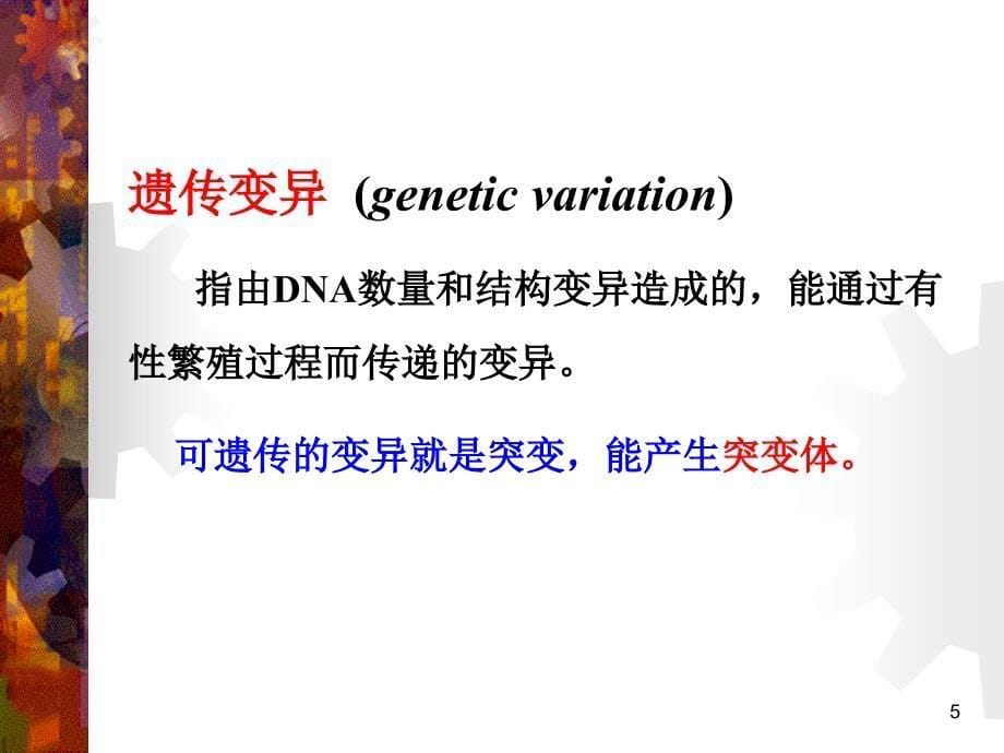 第10章植物生物学_第5页