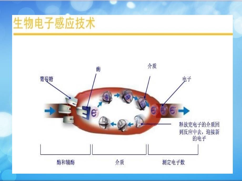 血糖仪、血酮仪的使用_第4页