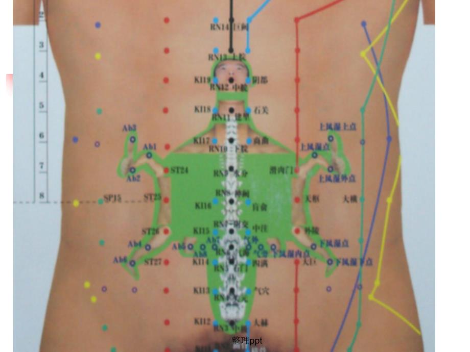 腹针疗法学习腹针_第3页
