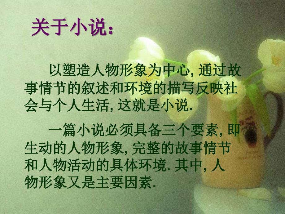 短篇小说百合花茹志鹃.ppt_第4页