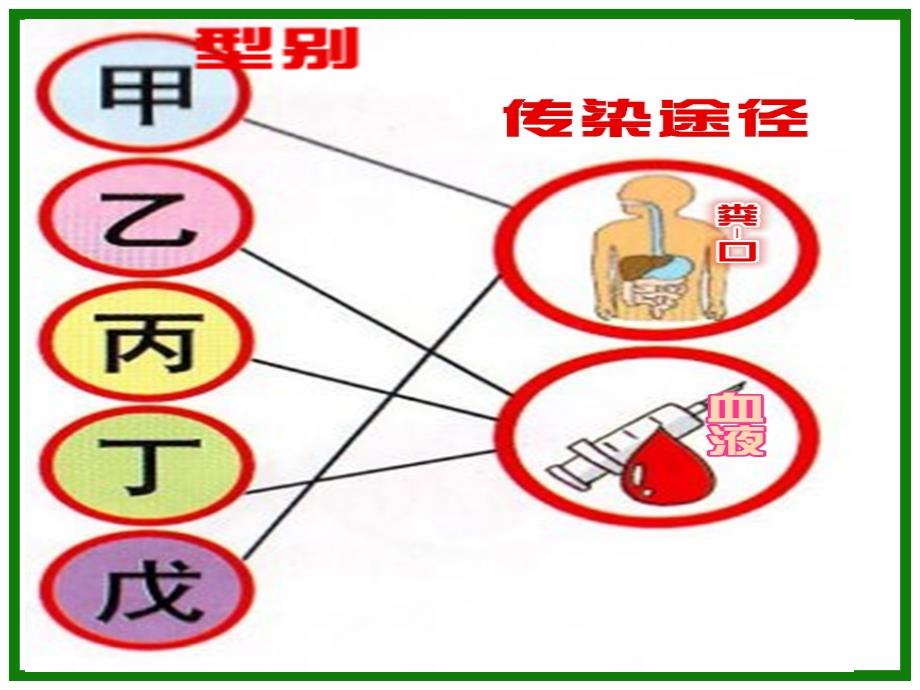 乙肝 ppt课件_第4页