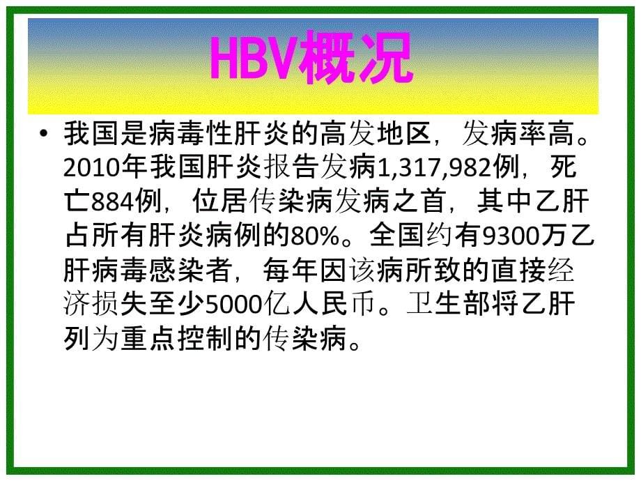 乙肝 ppt课件_第5页