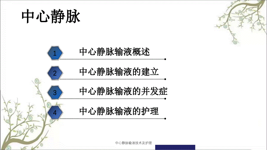 中心静脉输液技术及护理课件_第2页