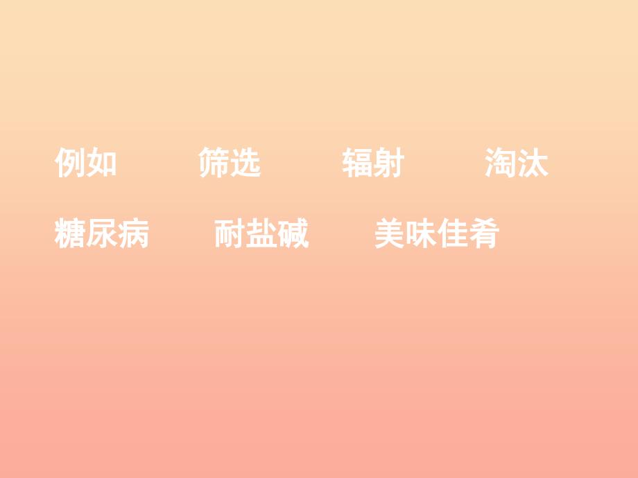 2019年四年级语文上册第8单元32.飞船上的特殊乘客课件新人教版.ppt_第4页