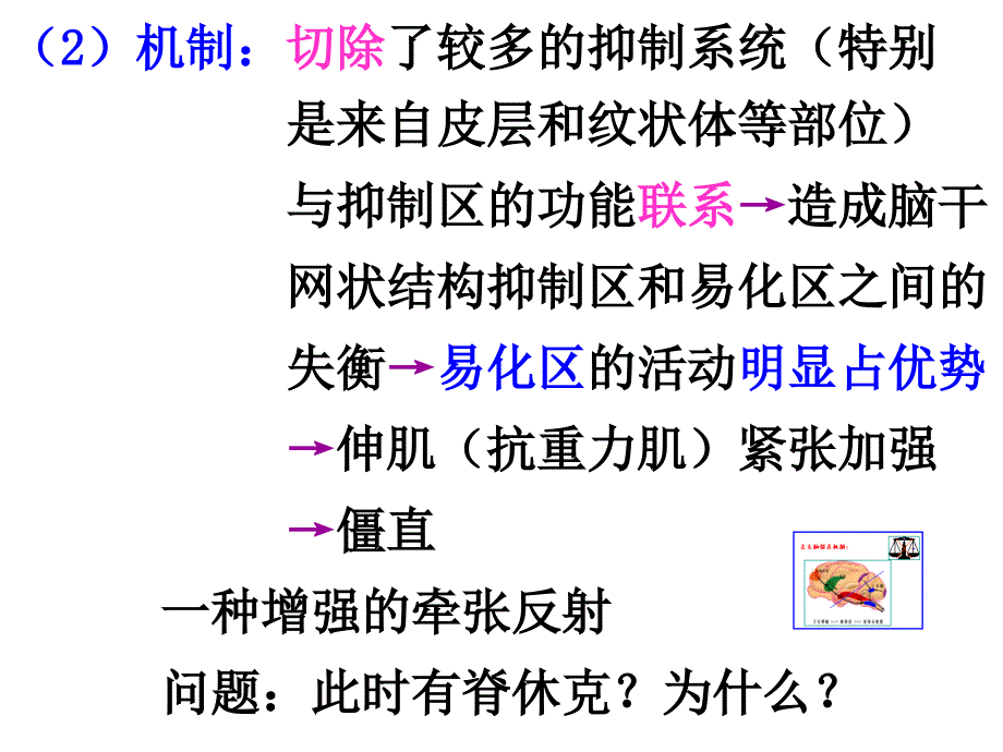 生理学课件：第九章05（下）_第2页