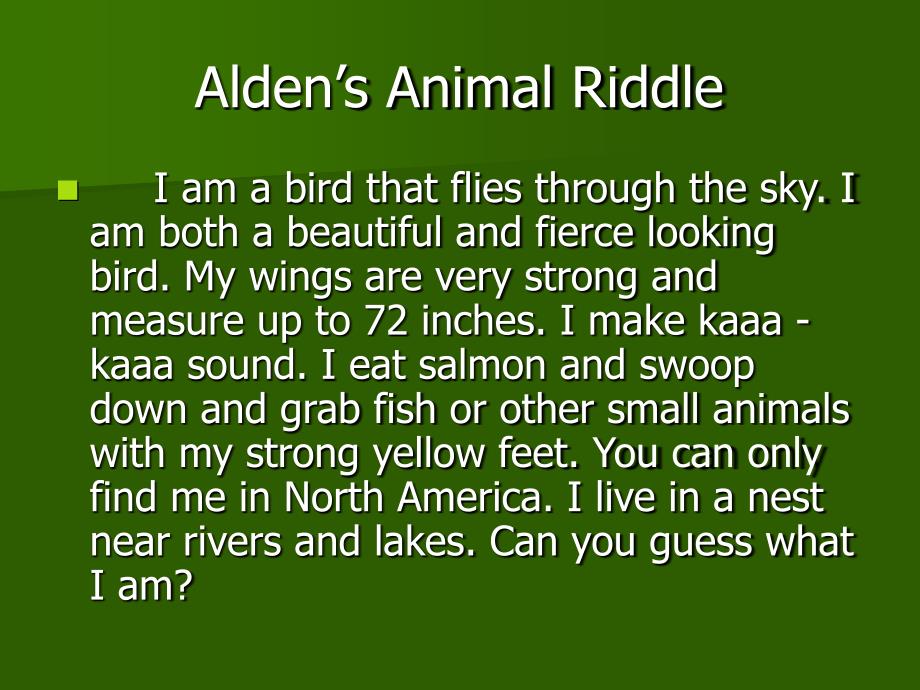 Animal Riddles_第4页