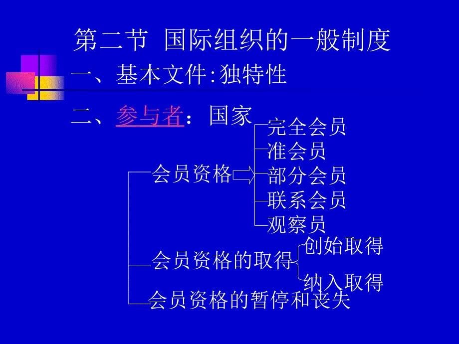 十一章节国际组织法_第5页