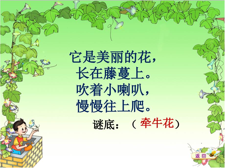 《丁丁和牵牛花》课件_第1页