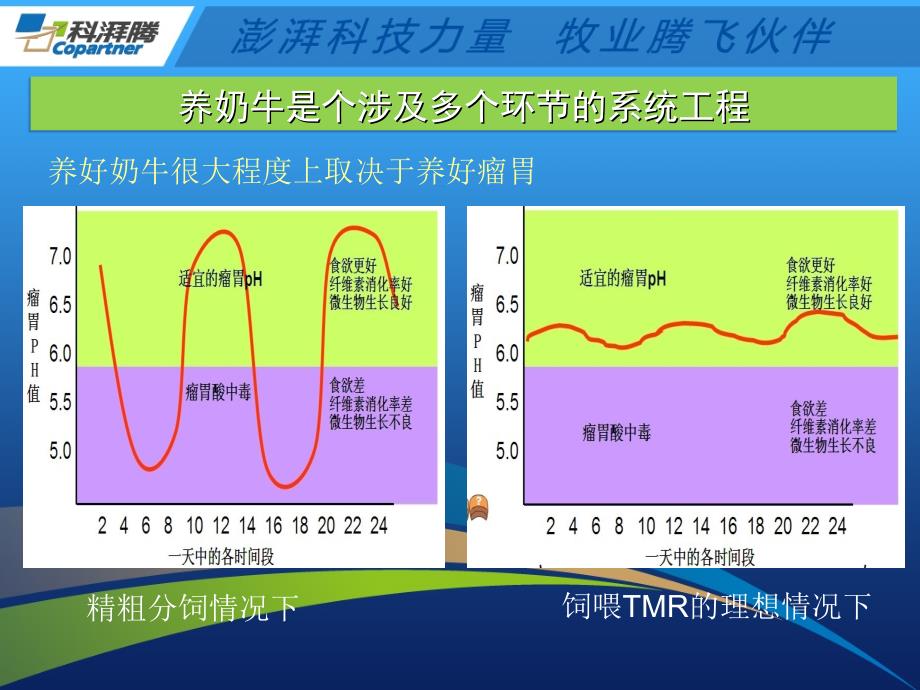 TMR加工发料过程中的监控与管理系统.ppt_第2页