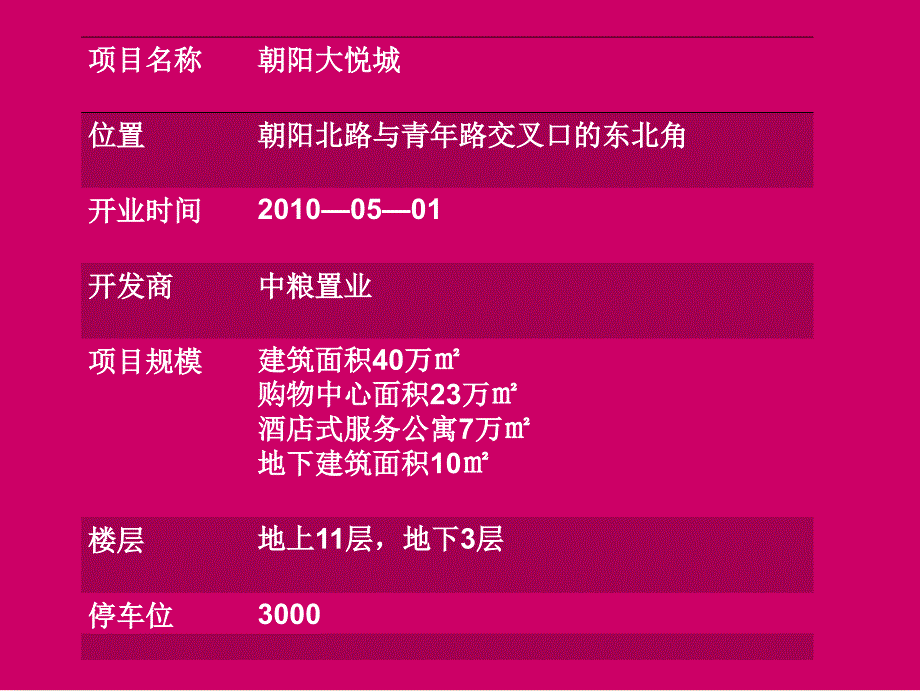 北京朝阳大悦城调研报告_第4页