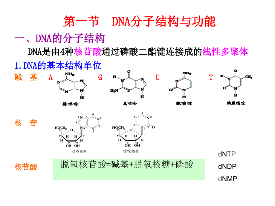 三章DNA多态分析基础_第3页