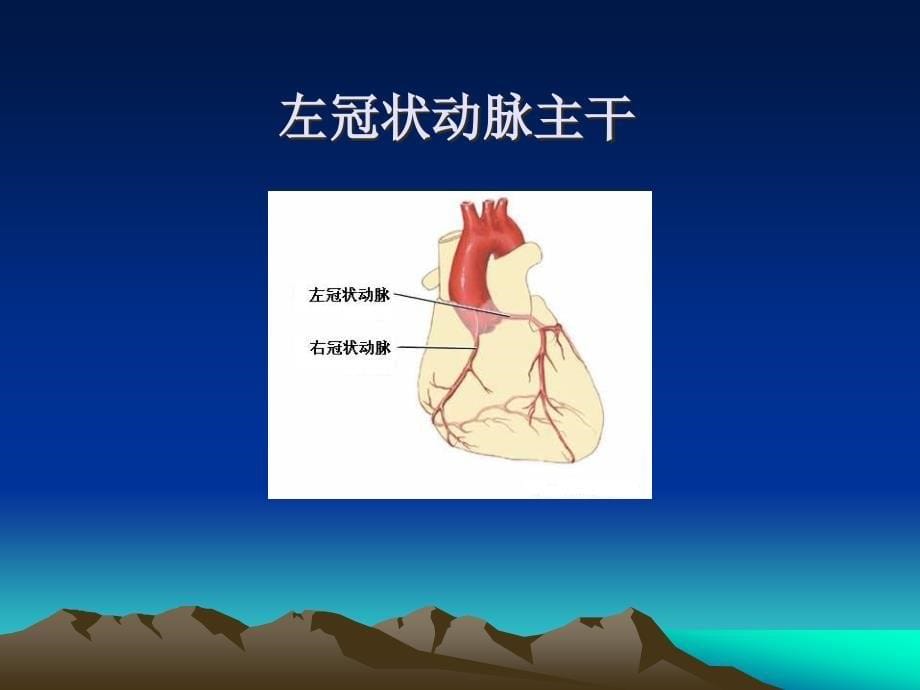 心肌梗死心电图与血管定位.ppt_第5页