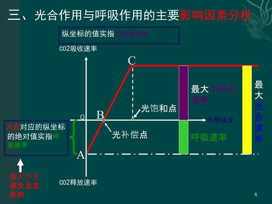 高考二轮复习光合作用与呼吸作用专题_第5页