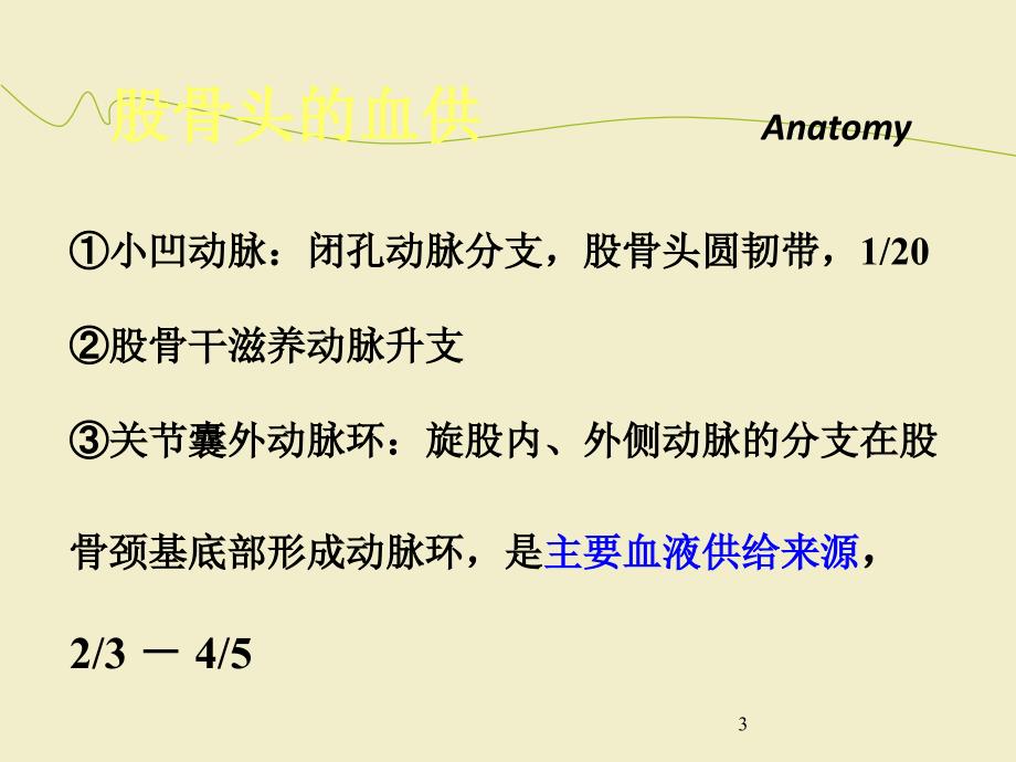 股骨颈骨折治疗选择ppt课件(1)_第3页