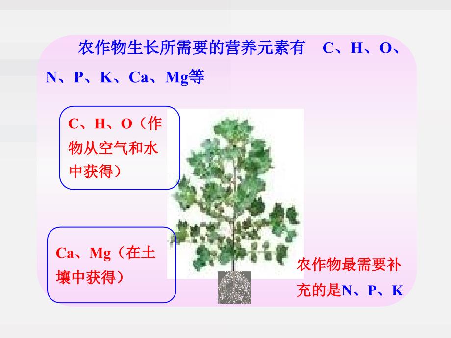 《化学肥料》PPT课件_第3页