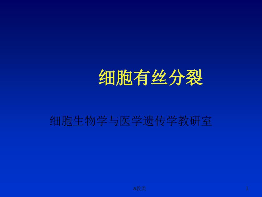 实验3有丝减数A类基础_第1页