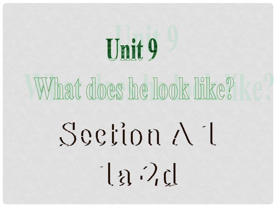 河北省邢台市临西一中七年级英语下册《Unit 9 What does he look like Section A 1a2d》课件 人教新目标版_第2页