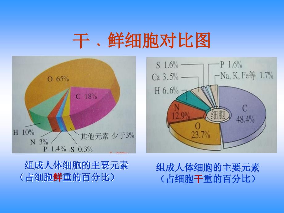 第一章第一节组成生物体的化学元素_第4页