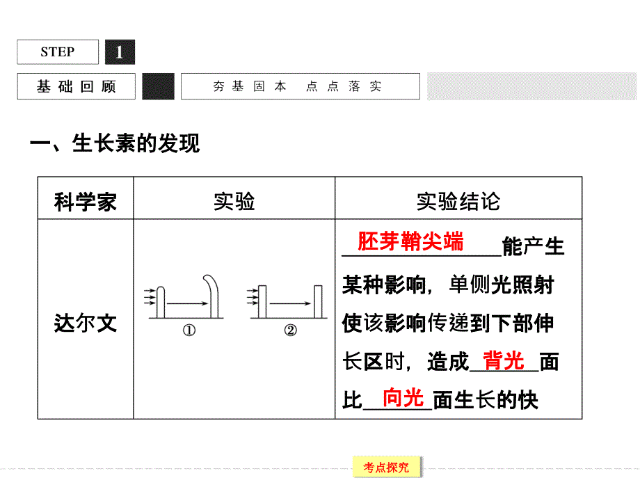 植物生长素的发现和作用复习课_第3页