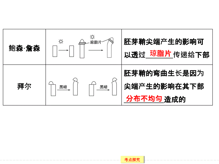 植物生长素的发现和作用复习课_第4页