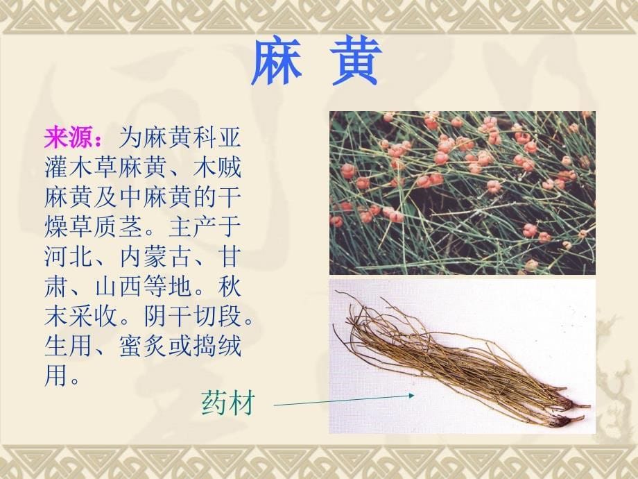 中药学第一章解表药_第5页