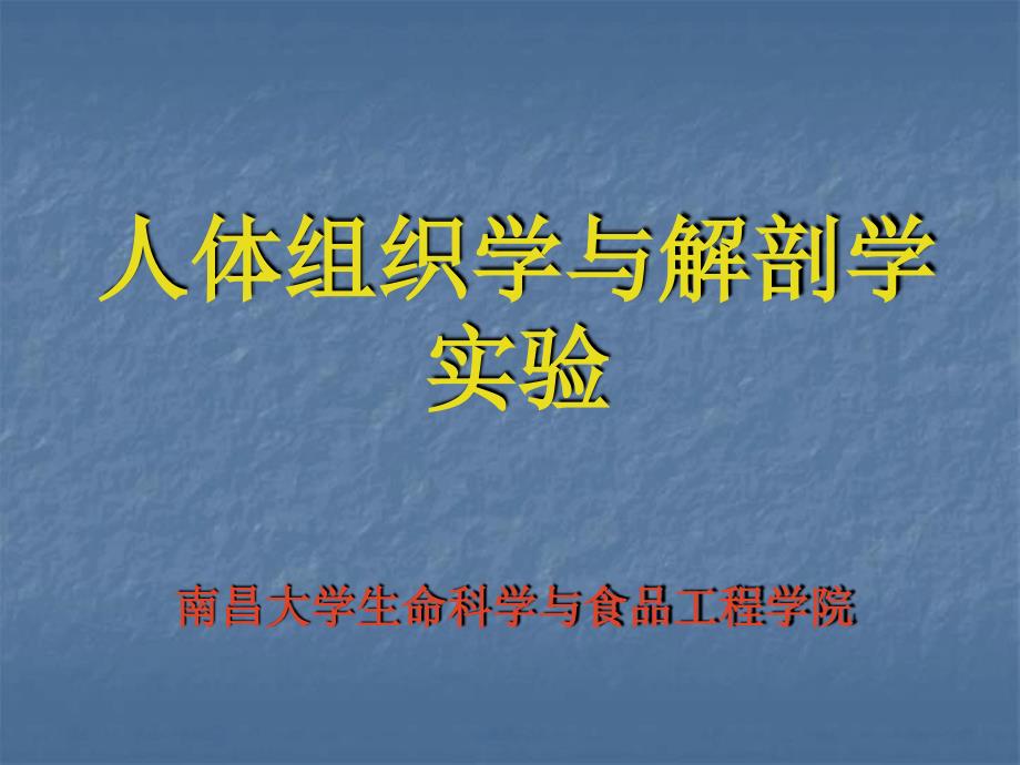 内分泌系统实验课件1112_第1页