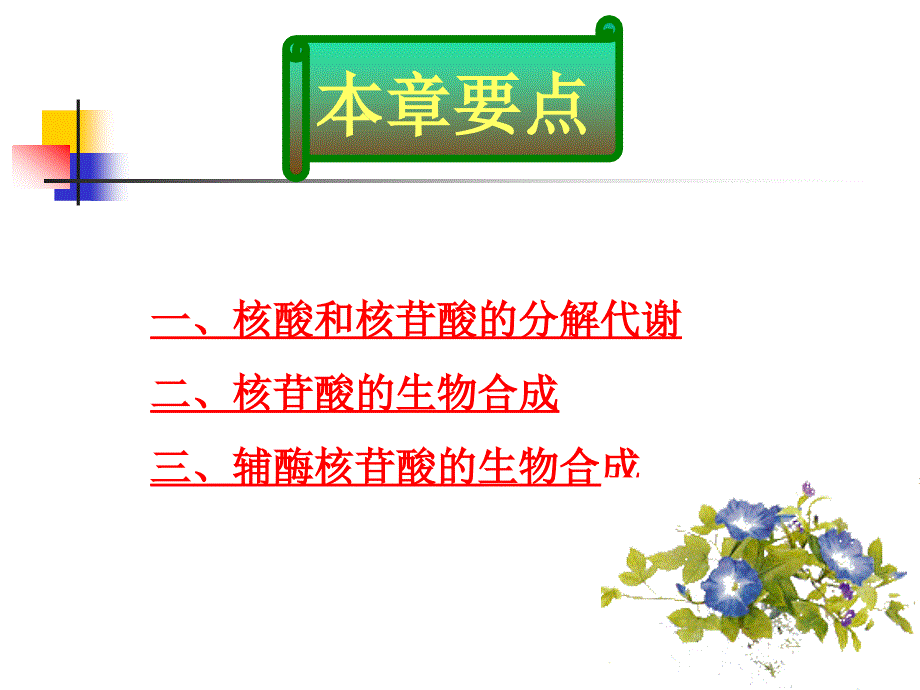 生物化学 33章核酸降解和核苷酸代谢_第2页