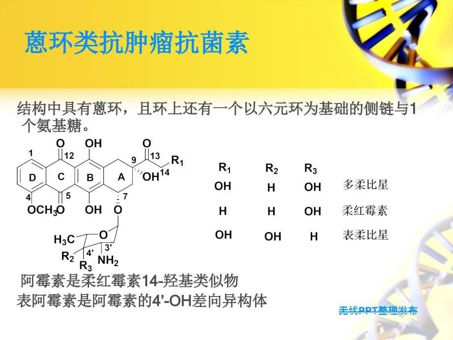 抗生素类抗肿瘤药课件_第5页