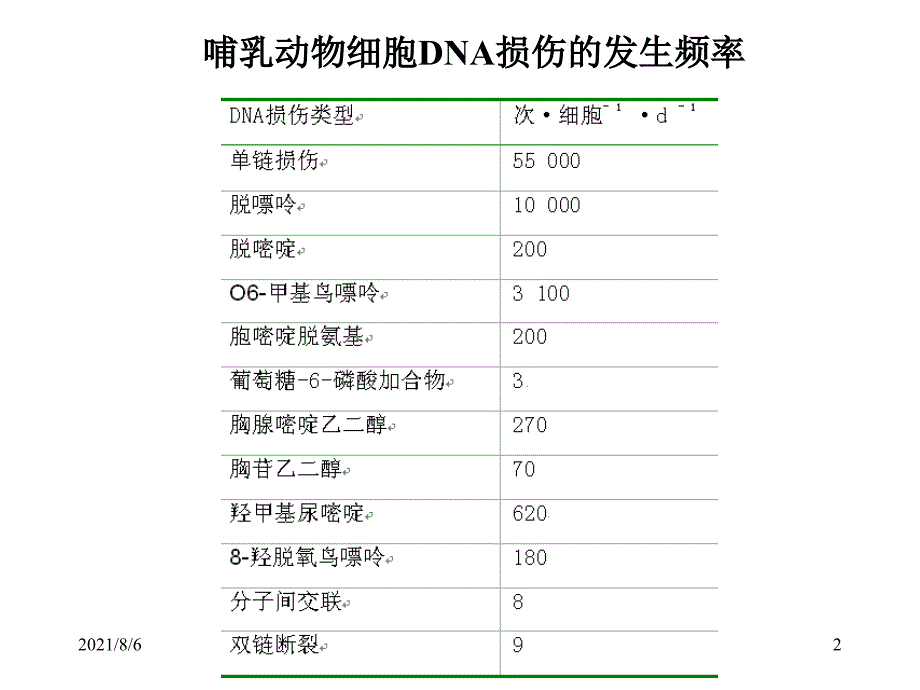 分子生物学第六章：DNA损伤与修复_第2页