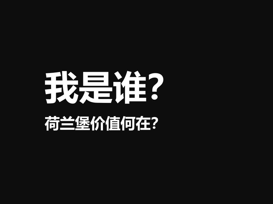 惠州光耀荷兰堡整合推广策略提案73PPT_第3页