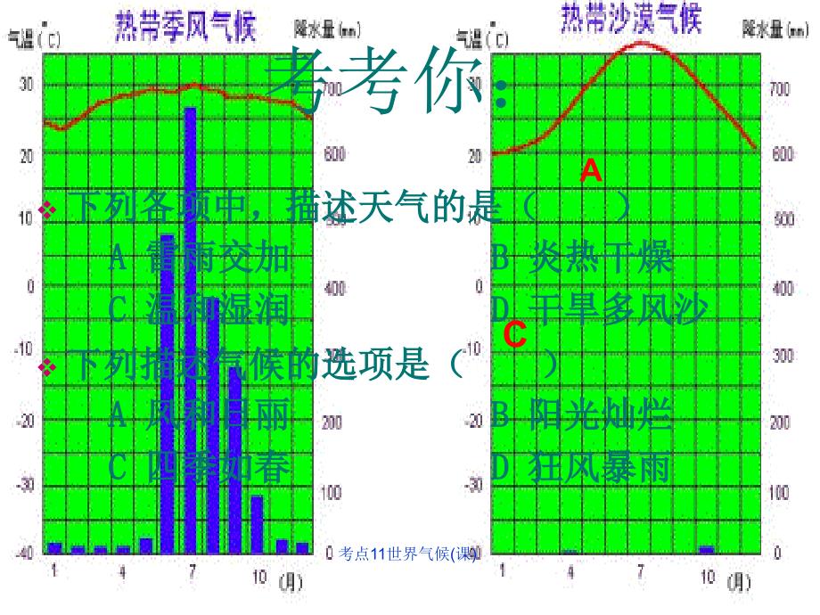 考点11世界气候课课件_第3页