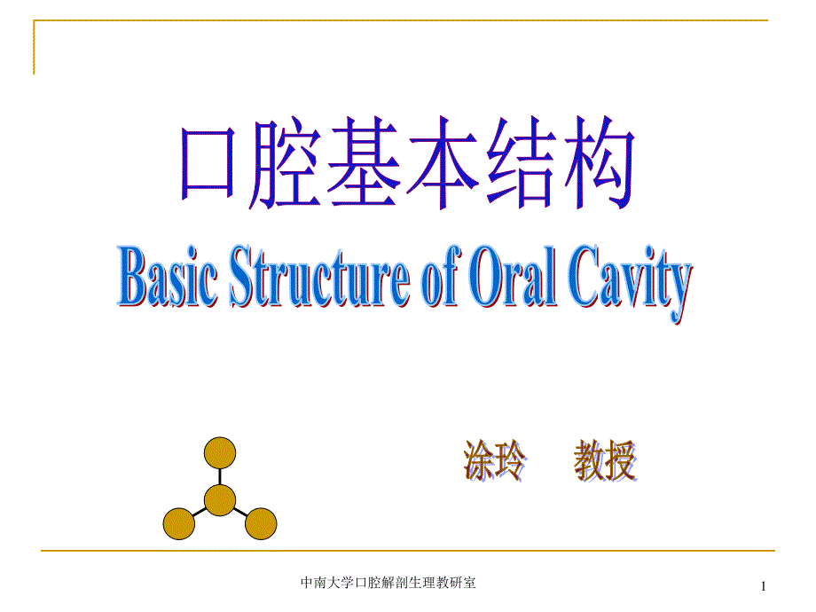 口腔基本结构-干货_第1页