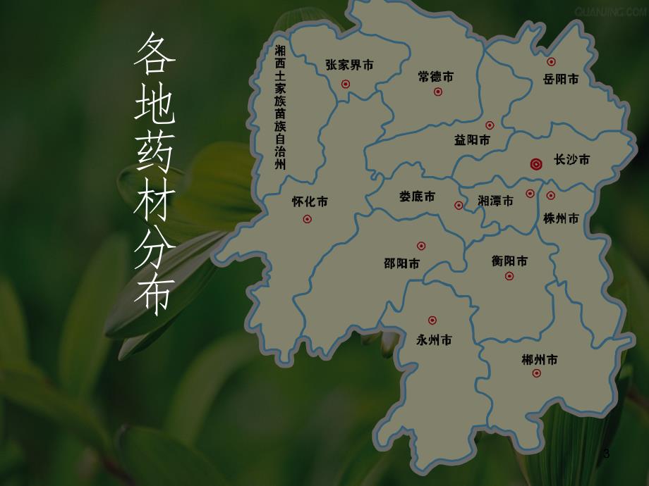 湖南省道地药材.ppt_第3页