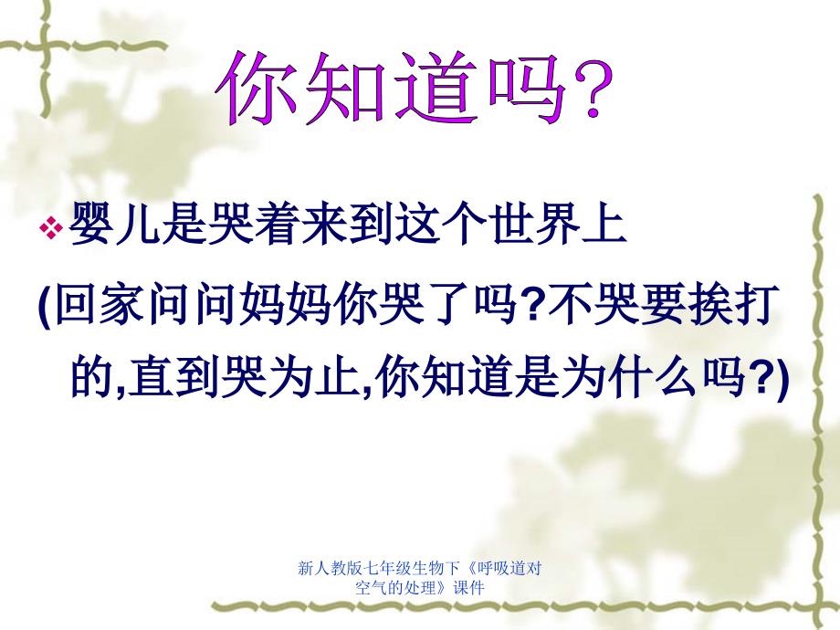 新人教版七年级生物下呼吸道对空气的处理课件_第3页