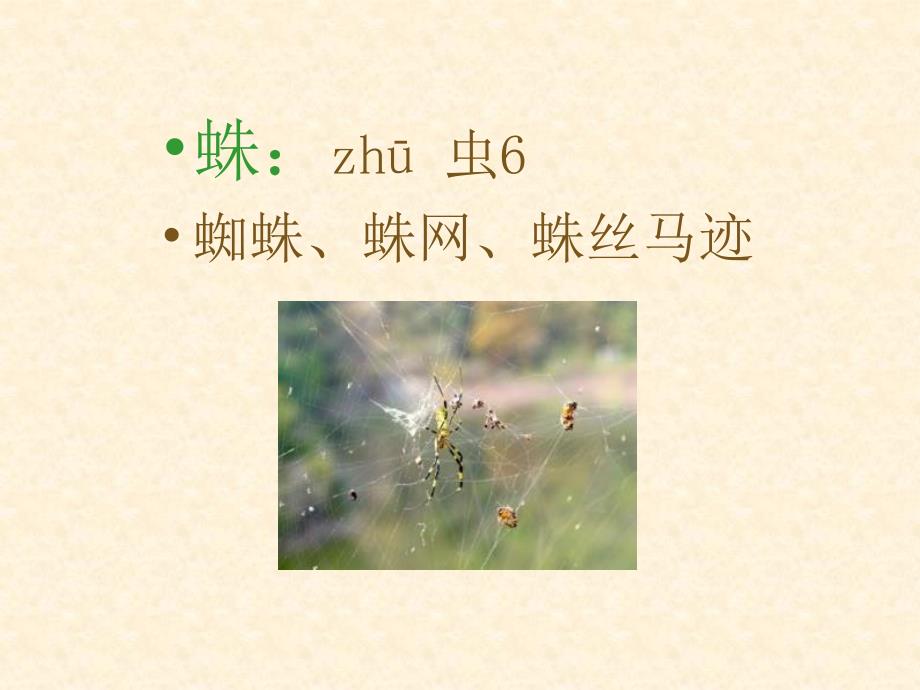 西师版语文第四册等我也长了胡子ppt课件_第3页