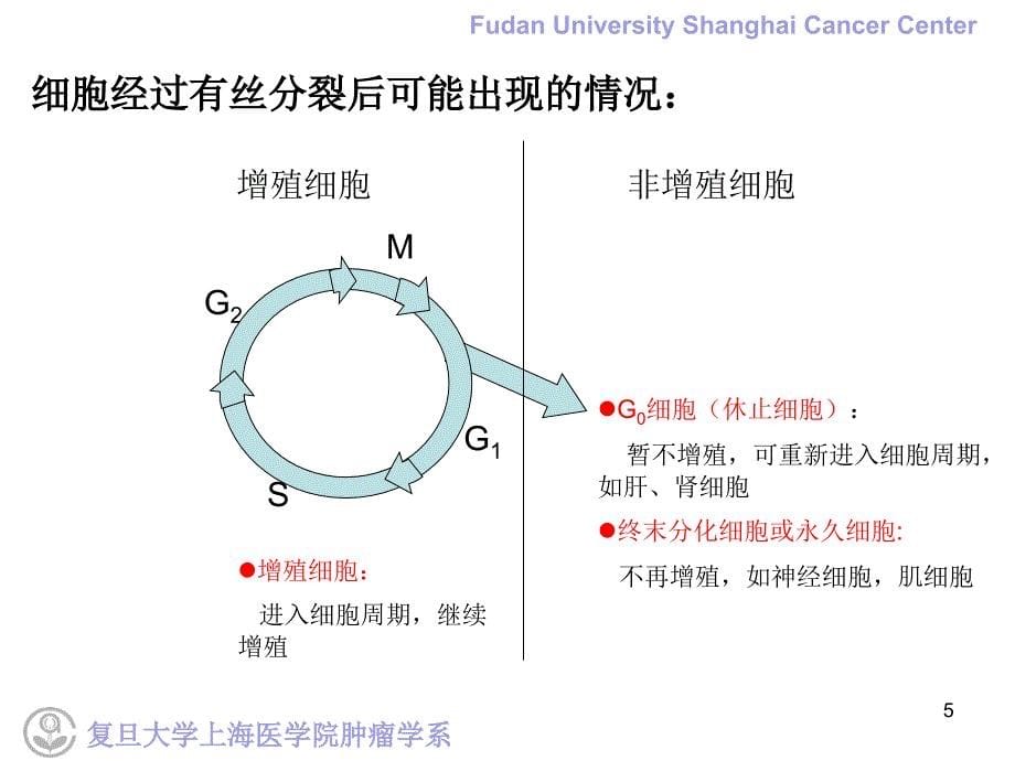 临床肿瘤学学习课件：5.肿瘤的生物学行为_第5页