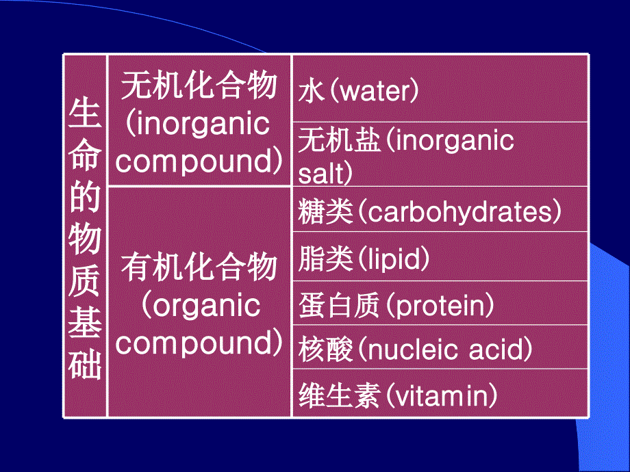 001细胞的分子基础_第3页