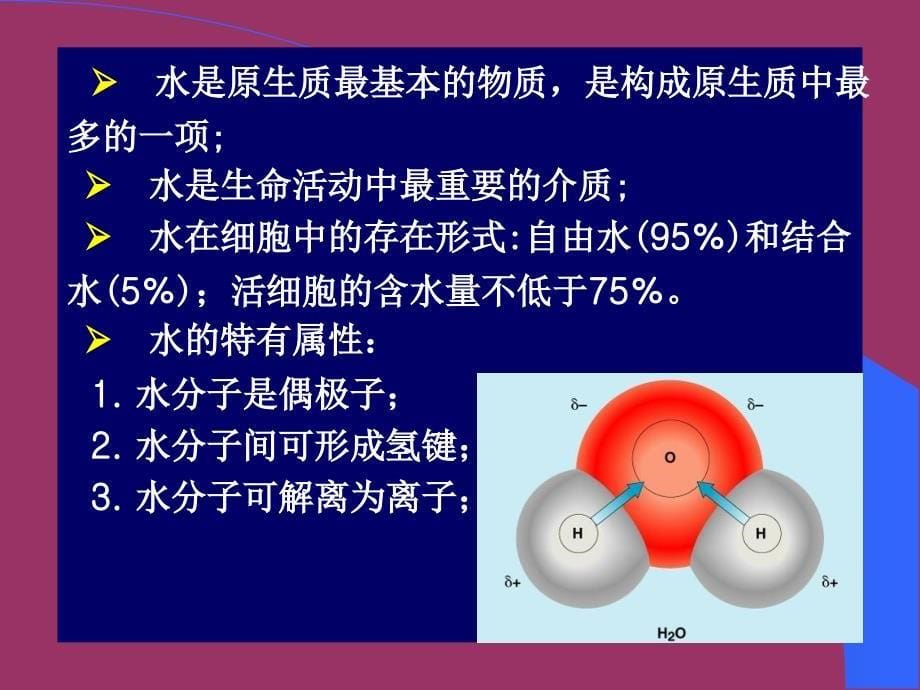 001细胞的分子基础_第5页