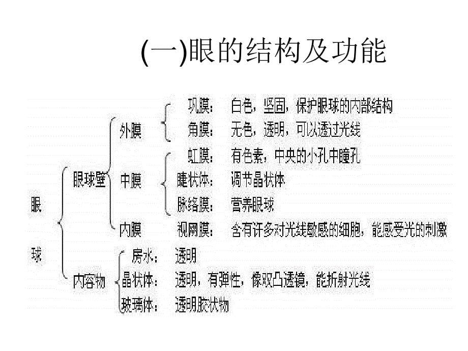 人体对外界环境的感知a.ppt_第5页