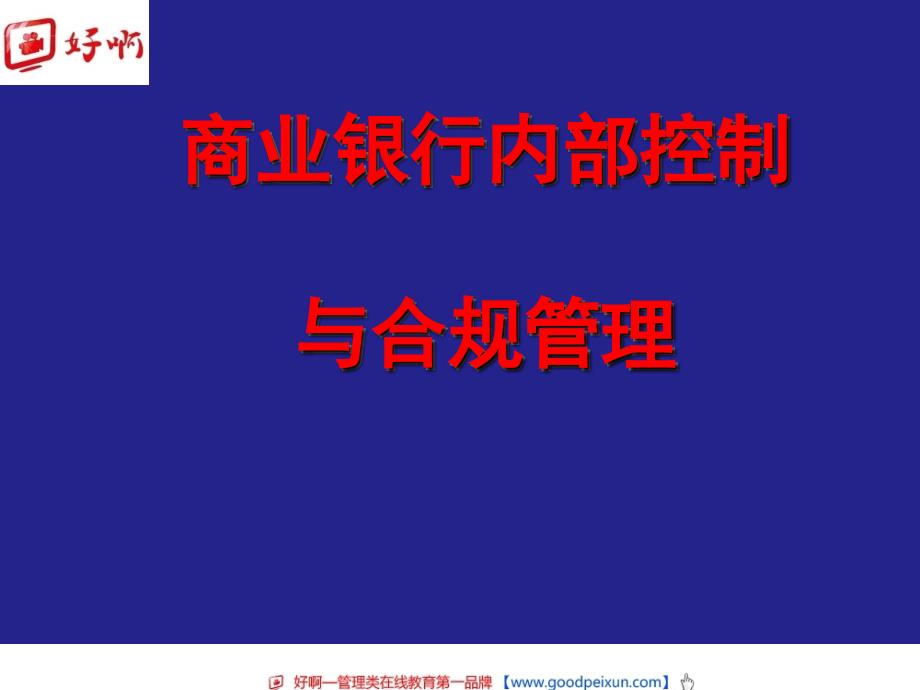 好啊网：商业银行内部控制与合规风险管理_第1页