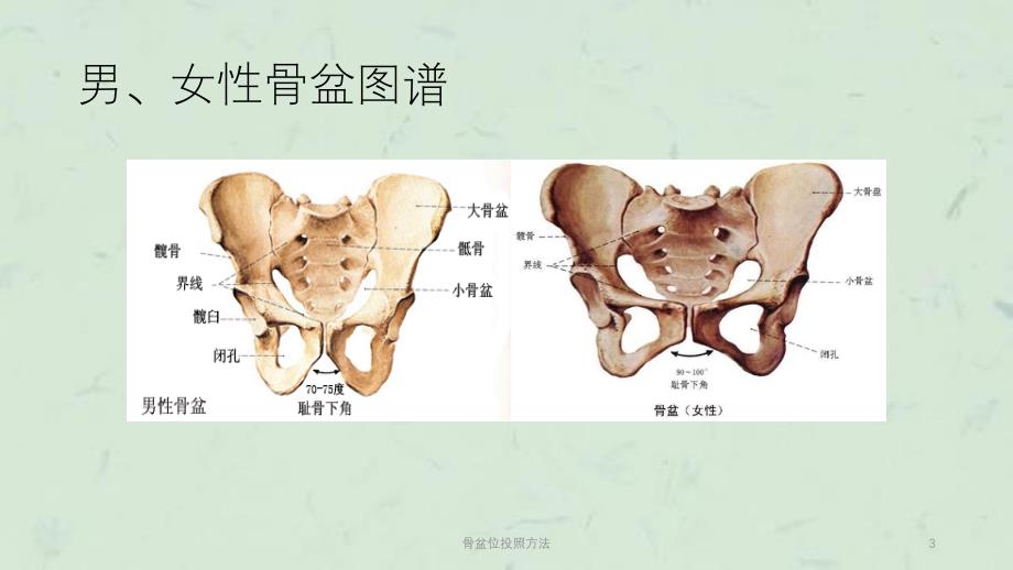 骨盆位投照方法课件_第3页