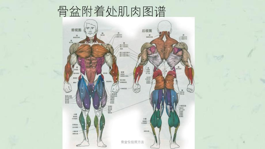 骨盆位投照方法课件_第4页