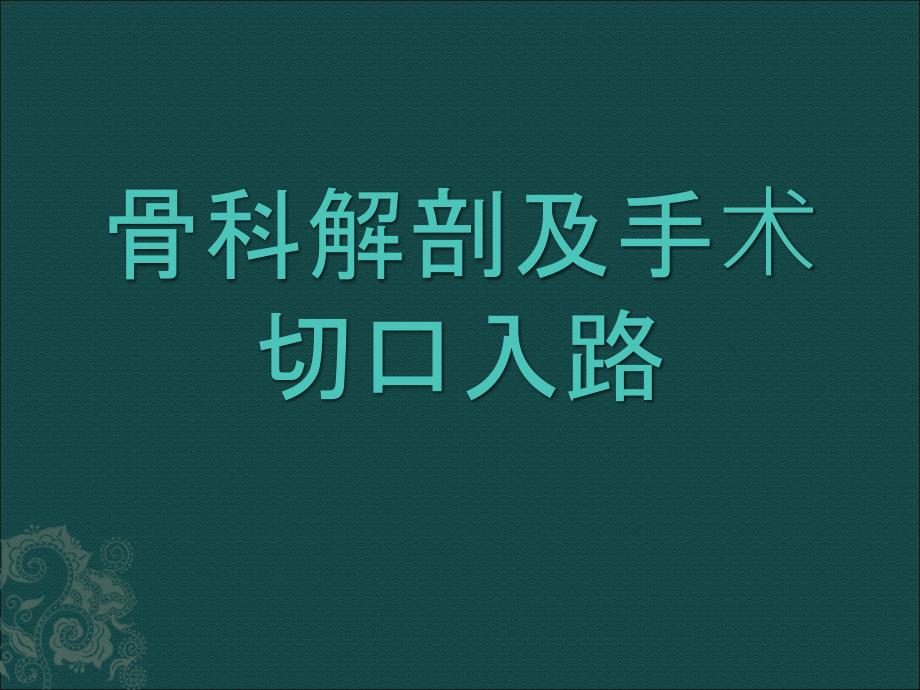 骨科解剖及手术切口入路_第1页