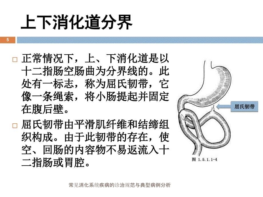 常见消化系统疾病的诊治规范与典型病例分析课件_第5页