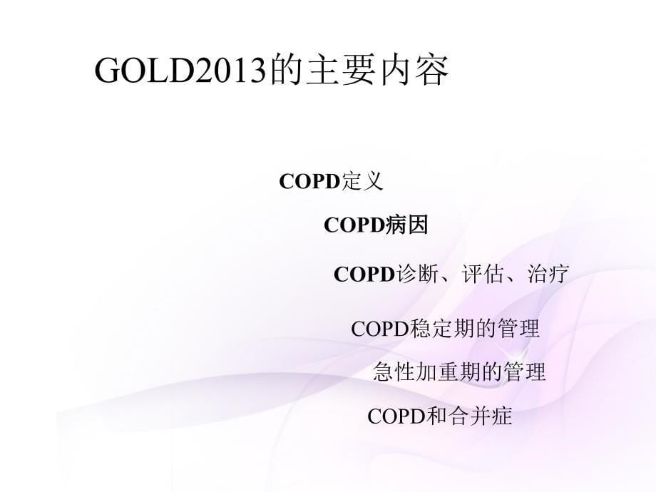 GOLD2013解读_第5页