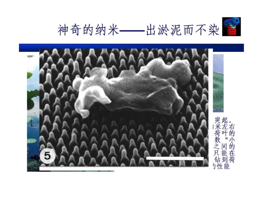 生物医学纳米技巧baidu[精彩]_第3页